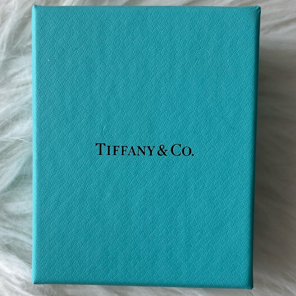 Tiffany & Co. Sterling Silver Ball Linked Earrings
